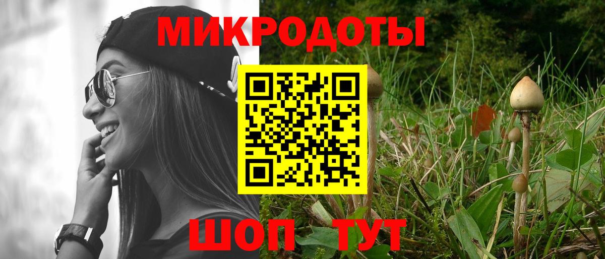 Конаково  Псилоцибиновые грибы Psilocybine cubensis  Вход с VPN 